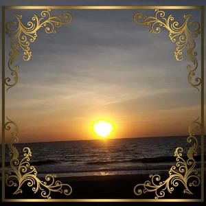 Meet your Posher, Dee